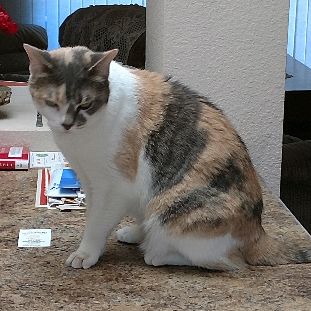 Meet your Posher, Jean